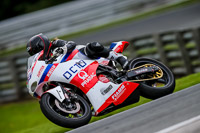PJ-Motorsport-2019;anglesey;brands-hatch;cadwell-park;croft;donington-park;enduro-digital-images;event-digital-images;eventdigitalimages;mallory;no-limits;oulton-park;peter-wileman-photography;racing-digital-images;silverstone;snetterton;trackday-digital-images;trackday-photos;vmcc-banbury-run;welsh-2-day-enduro